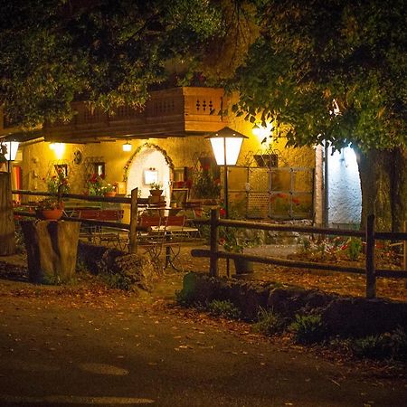 Gasthof Mitteregg Zum Kasnocknwirt Winkl  Екстер'єр фото